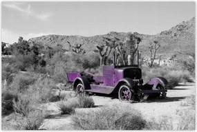 Poszterek 120x80 Lila autó Lövöldözős