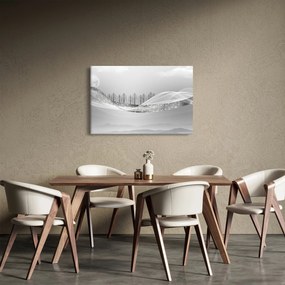 Kép - ezüst táj (90x60 cm)