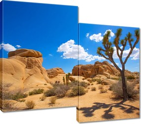 Vászonkép 80x70 Sivatagi táj