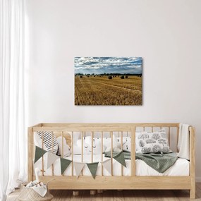 Betakarított gabona mező képe (70x50 cm)
