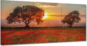 Vászonkép 60x30 Pipacsok a mezőn Tájkép