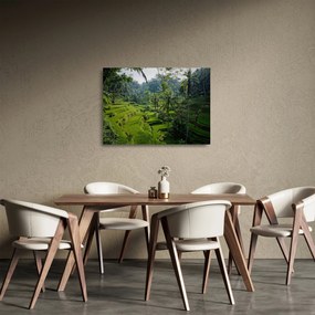 Kép a rizs teraszokról, Tegalalang, Bal (üvegen) (70x50 cm)