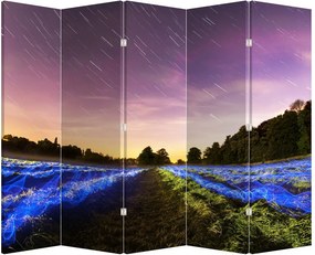 Paraván - Színes mező (210x170 cm)