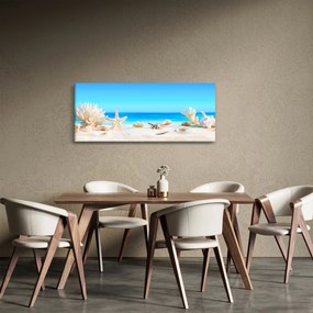 Kép - Csendélet kagylóval (120x50 cm)