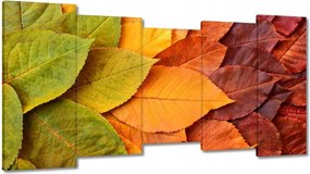 Vászonkép 150x80 Őszi színes levelek Levelek az ősz színeiben