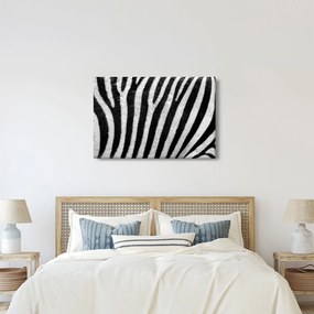 Kép egy zebra bőrről (90x60 cm)