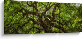 Kép - Zöld fa (órával) (90x30 cm)