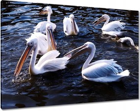 Vászonkép 100x70 Vízi madarak