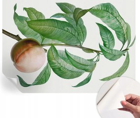 Öntapadós fali fotótapéta a szobába Érett őszibarack 312x219 cm