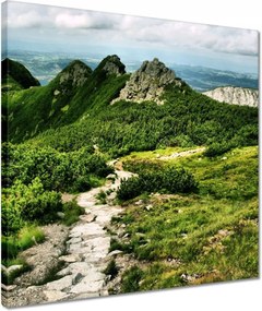 Vászonkép 40x40 Lengyel Tátra Hegyek