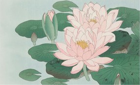 Flizelin Dekoratív fotótapéta Hálószobába Vízi lótusz 416x254 Ragasztó