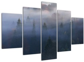 Kép - erdő a ködben, Carpathians, Ukraina (150x105 cm)