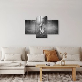 Kép - erdő őr, fekete-fehér (90x60 cm)