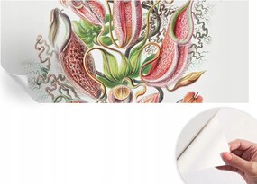 Öntapadós tapéta Divatos 3D fali ragasztó Növényi részletek 250x104 cm