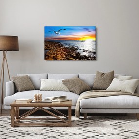 Kép - Sirály repül a tengerpart felett (90x60 cm)