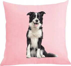 Párna párnahuzat Border Collie Kutya mintás