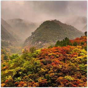 Poszterek 140x140 Tájkép Látvány