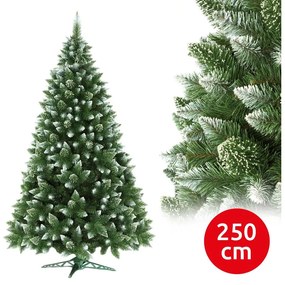 Karácsonyfa 250 cm magas fenyőfa