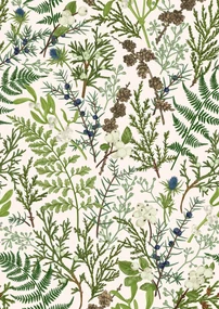Botanical II. poszter - 30x40 cm, Fekete paszpartuval