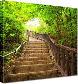 Vászonkép 80x80 Lépcsők az erdőbe