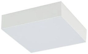 Lid
