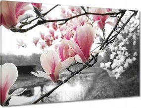 Vászonkép 90x60 Magnólia Virágok