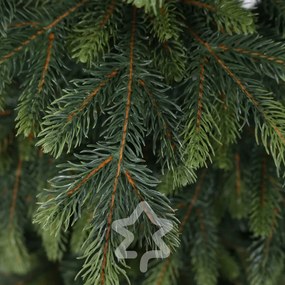 Natura lucfenyő 3D 180 cm