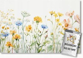 Fotótapéta Flizelina Rét Kert Színes Virágok Tavasz Nyár 250x175 ragasztó