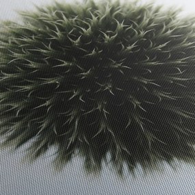 Egy viráglabda képe (120x50 cm)