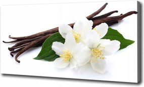 Vászonkép Jázmin és vanília 100x70 cm