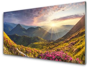 Üvegkép Sun Mountain Meadow Landscape 100x50 cm