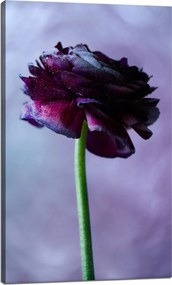 Botanika Vászonkép Lila virág 60x100