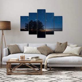 A fák éjjel képe (150x105 cm)