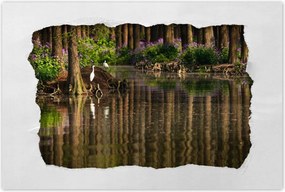 Poszterek 60x40 Tájkép Látvány