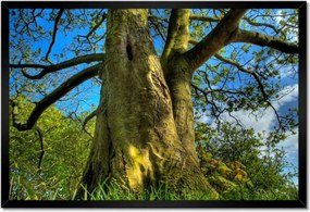 Poszterek keretben 60x40 Erős fa