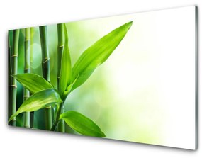 Akrilkép Bamboo Leaf Nature Plant 100x50 cm 2 fogas