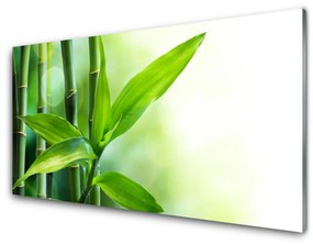 Akrilkép Bamboo Leaf Nature Plant 100x50 cm