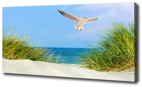 Feszített vászonkép Sirály a tengerparton oc-109828063