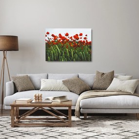 A pipacsok képe a szélben (üvegen) (70x50 cm)