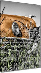 Vászonkép 80x120 Tea veterán