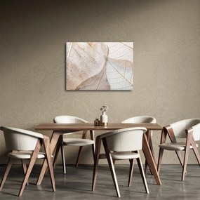 Kép - Bézs levelek (70x50 cm)