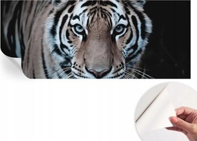 Öntapadós tapéta Divatos 3D fali ragasztó Tigris portré 250x104 cm