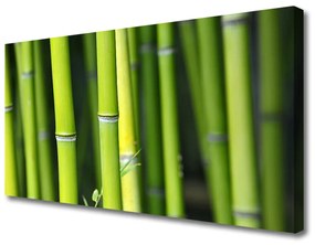 Vászonkép Nature bambusz növény 100x50 cm
