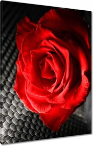 VĂĄszonkĂ©p 60x80 Piros a szĂŒrkesĂ©g között