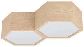 Eglo 98861 - Mennyezeti lámpa MIRLAS 2xE27/9W/230V