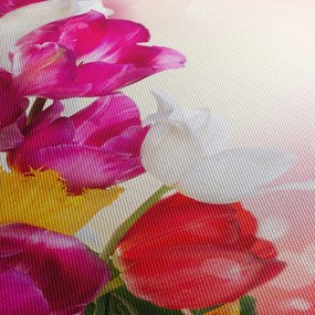 Tulipán képe (70x50 cm)