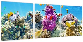 Kép - A tenger világa (órával) (90x30 cm)