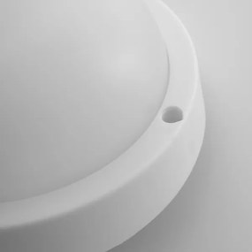 Solight WO749 - LED Kültéri mennyezeti lámpa LED/20W/230V IP54