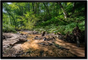Poszterek keretben 60x40 Folyó Trópusi erdő