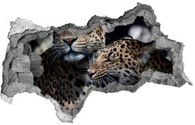 Fali matrica lyuk a falban Két leopárd nd-b-109930645